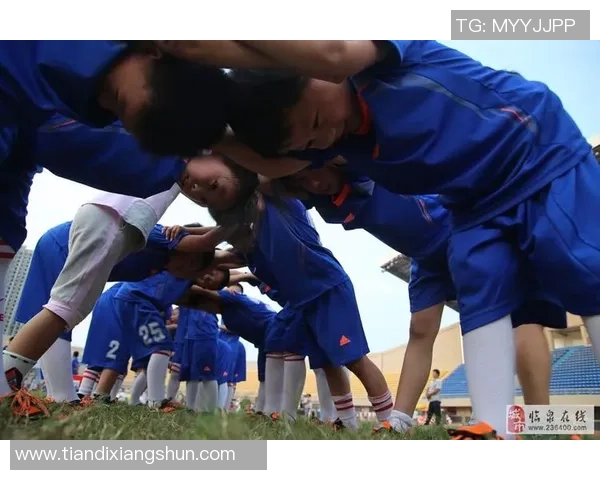 足球明星在绿茵场上的精彩瞬间速写艺术展现